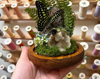 Fjärils- och bikupol/terrarium med kristaller