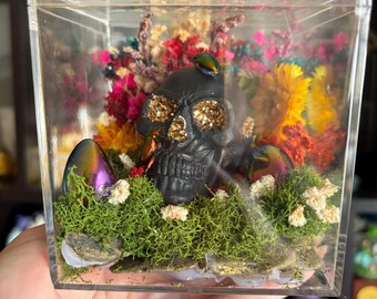 Terrarium med skalle och grodbensbagge