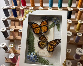 Monarkfjärilspar (Danaus plexippus). Inramad insekt med tarotkort och blommor