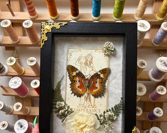 Malaysisk spetsvingad fjäril (Cethosia hypsea) inramad insekt med tarotkort och blommor