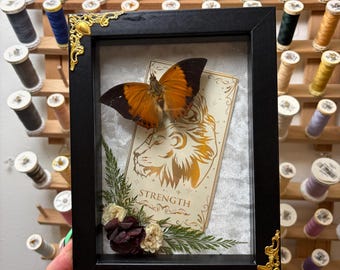Brunbrun Rajahfjäril (Charaxes Bernardus). Inramad insekt med tarotkort och blommor