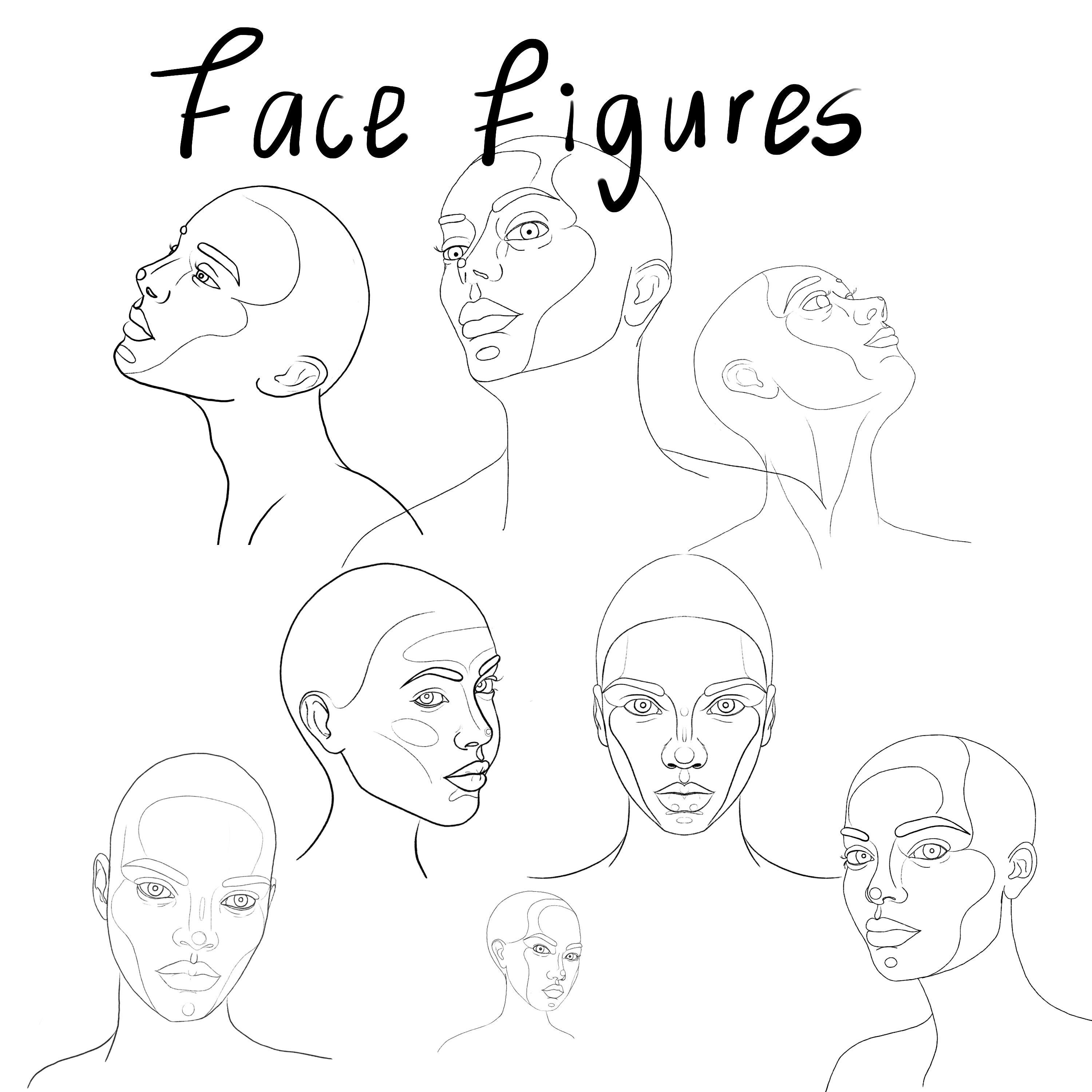 Face figure guide for procreate Etsy