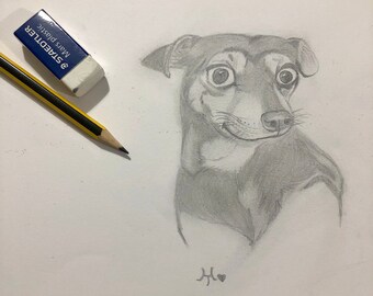 Personalised Pet Portrait Sketch (26cm x 21cm)