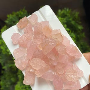 Puede incluir: Una colección de cristales de cuarzo rosa en bruto y sin cortar. Los cristales son de color rosa suave y tienen una textura natural rugosa. Se muestran en una bandeja blanca, con follaje verde en el fondo. Adecuado para la fabricación de joyas o la curación con cristales.