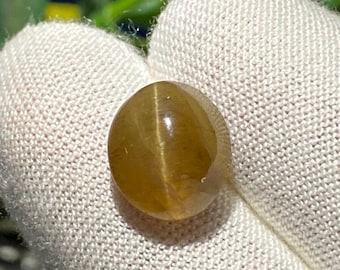 Sri-lankischer Chrysoberyll-Katzenauge-Edelstein, handgemachte Schmuckversorgung (7.30CT 10x12x7 MM)