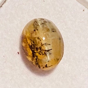 Organische inclusie boompatroon bladeren Australian Opal Cat's eye ovale cabochon 8X10mm AA+ verbazingwekkende natuurlijke kwaliteit onbehandelde losse edelsteen