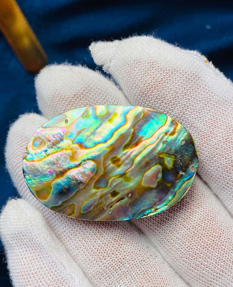Oval Abalone Shell Cabochon, Flat Back Gemstone (33x22x6mm) - Etsy