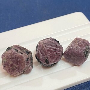 Puede incluir: Tres piedras preciosas de rubí naturales, en bruto. Los rubíes son de color rojo rosado intenso con inclusiones oscuras, sobre una bandeja blanca. El fondo es azul liso.