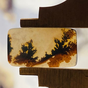 Zeer zeldzame 100% natuurlijke dendritische agaat Shazar mooi ontwerp cabochon, losse edelsteen, dendritische agaat voor het maken van sieraden hangende grootte
