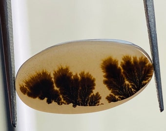 Scenic Dendrite Agate Cabochon – Oval Flower Stone, 9x18mm