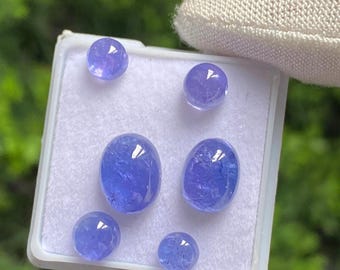 AAA Tansanit Cabochons - Natürliche lose Edelsteine, unbehandelt, 6 Stück
