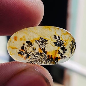 AGATA DI FIORI - Cabochon di agata dendrite - Forma ovale 20X12X3 mm / Incredibile motivo ad albero - Creazione di gioielli - Cristallo curativo - Ciondolo dendrite