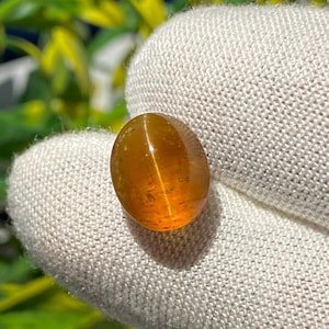 Peut inclure: Une pierre précieuse polie de forme ovale, d'une couleur ambrée chaleureuse. La gemme présente un effet de chatoyance, avec une bande de lumière vive sur sa surface. La pierre est tenue dans un tissu blanc, avec un fond de feuillage vert et jaune.