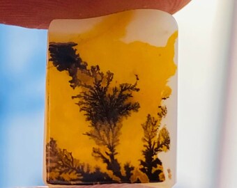 Shazar Dendrite Agate Cabochon, Scenic Rectangle Gemstone (15x11mm)