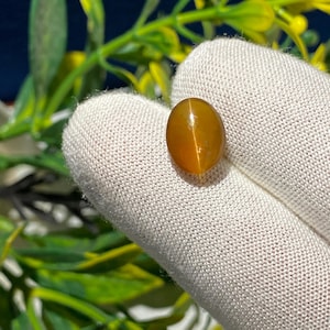 4 Ct, Chrysoberyl Cat&#39;s eye - Brazilian Mine Chrysoberyl Gemstone- Natural Untreated- 8x11x5MM - Exquisite