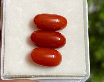 Natural Italian Red Coral Cabochons | 7.80 Cts Polished Gemstone Set
