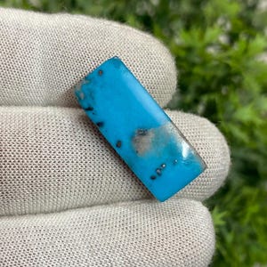 May include: A rectangular turquoise gemstone with a polished surface. The stone is a vibrant blue with dark brown and gray inclusions. The gemstone is held in a white glove, with green foliage in the background.