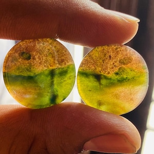 Paire RONDE 22 mm de qualité supérieure 100% agate mousse naturelle Cabochon à inclusions organiques de pierres précieuses en vrac pour la fabrication d'une paire de boucles d'oreilles bijoux