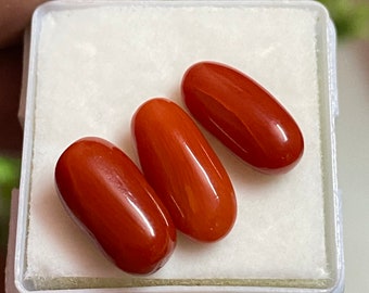 Natural Italian Red Coral Cabochon Set | Oval Gemstones, 11.50 Cts