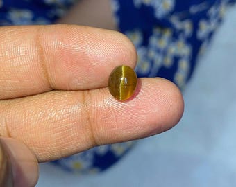 Natural Apatite Cats eye -