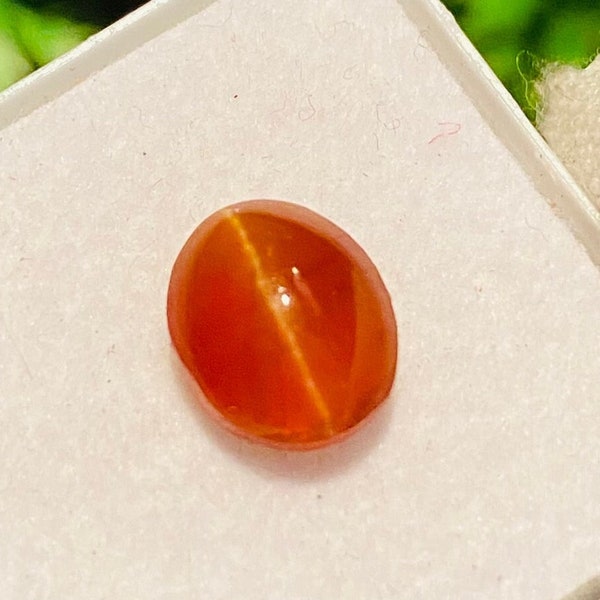 Chrysobéryl marron naturel oeil de chat, pierre précieuse oeil de chat 100 % naturelle AA+ Fine QualitShape certifié oeil de chat oeil de chat véritable 2,80 ct