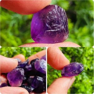 May include: A collection of raw amethyst crystals in varying sizes and shapes. The crystals display a deep purple hue, with visible textures and natural formations. Some are held between fingers, showcasing their size and color against a blurred green background.