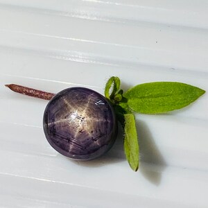 以下が含まれることがあります： 中心に6つのポイントを持つ星が輝く、濃い紫色のスターサファイアの宝石。カボションカットで、高い光沢があります。