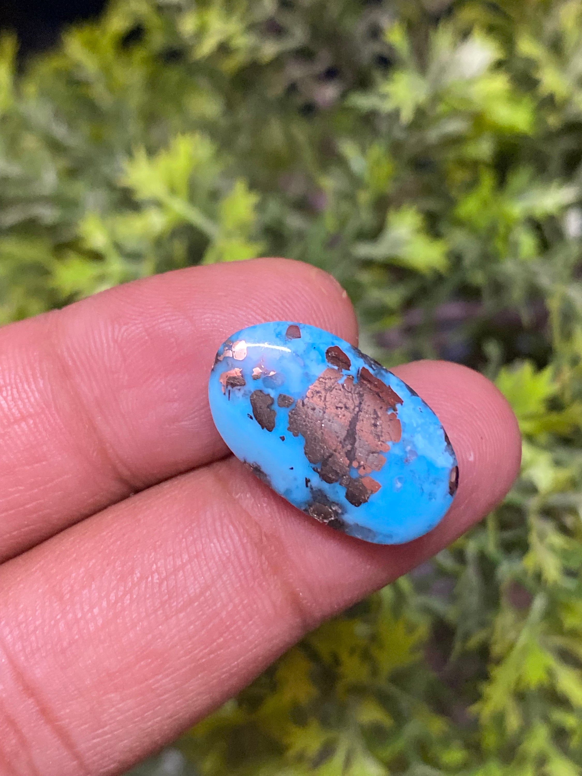 hope　古銅　猪　置物　M　R4272 古銅 猪 置物 M R4272