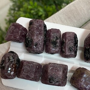 Puede incluir: Una colección de piedras preciosas de rubí en bruto, sin cortar, de varias formas y tamaños. Los rubíes muestran un tono rojo-púrpura oscuro con inclusiones oscuras, dispuestos sobre una superficie blanca. El fondo presenta follaje verde y una tela de tono neutro.