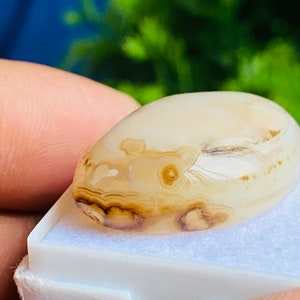 Peixe figurado orgânico aqeeq ágata do iemenita rara maior qualidade 100% natural hakik peixe rosto figura cabochão cura de pedras preciosas não tratadas