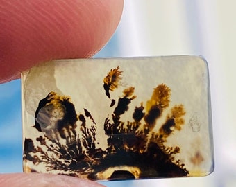 Cabujón de ágata dendrítica natural rectangular, 16 x 10 x 3 mm, para joyería