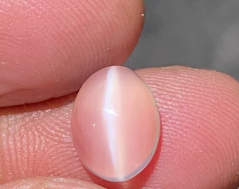 Oval Moonstone Cat's Eye Gemstone | Ceylon, 7x10mm, 3 Carat
