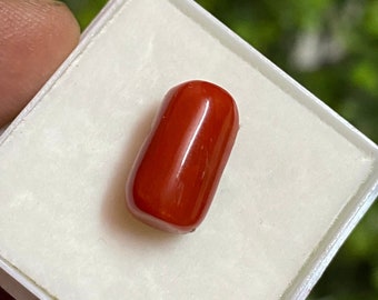 Cabujón de coral rojo italiano natural / 5,20 cts, 12 x 7 mm