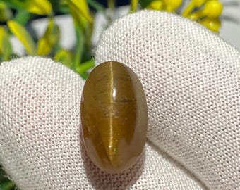 Natural Cat's Eye Chrysoberyl Gemstone | Oval Cabochon, 13 CT (15x10x10 MM)