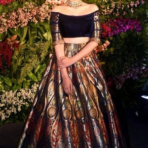 Pure banarasi panneled lehenga with velvet crop top blouse bridesmaid lehenga choli Indian lehenga choli for women bollywood inspired lengha