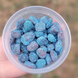 Puede incluir: Un recipiente de plástico transparente lleno de caramelos con azúcar azul. Los caramelos son de color rojo intenso con una capa de azúcar azul. El recipiente está sostenido en la mano de una persona, con un fondo borroso verde y marrón.
