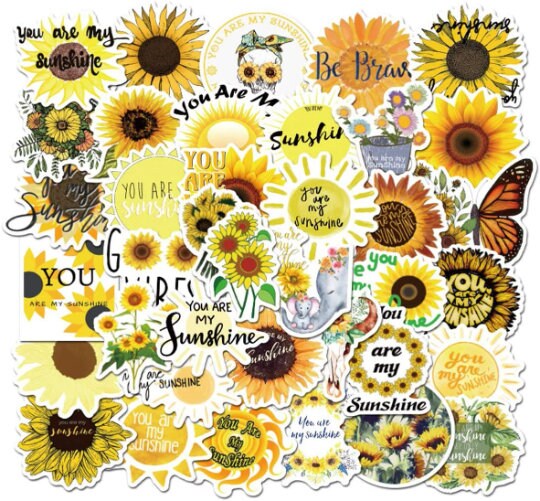 200 Pieces Inspirational Word Stickers Positive Word Stickers Motivational  Sunflower Stickers for Laptop, Water Bottle, Scrapbook, Journal,  Skateboard, Luggage, Positive Stickers for Adults Teens Kids : :  Computers