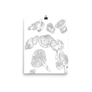 Mushroom Paradise - 8&quot;x10&quot; print - Oregon, Pacific Northwest mushrooms, chanterelle, morel