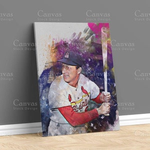 St. Louis Cardinals Panorama - MLB Fan Cave Poster