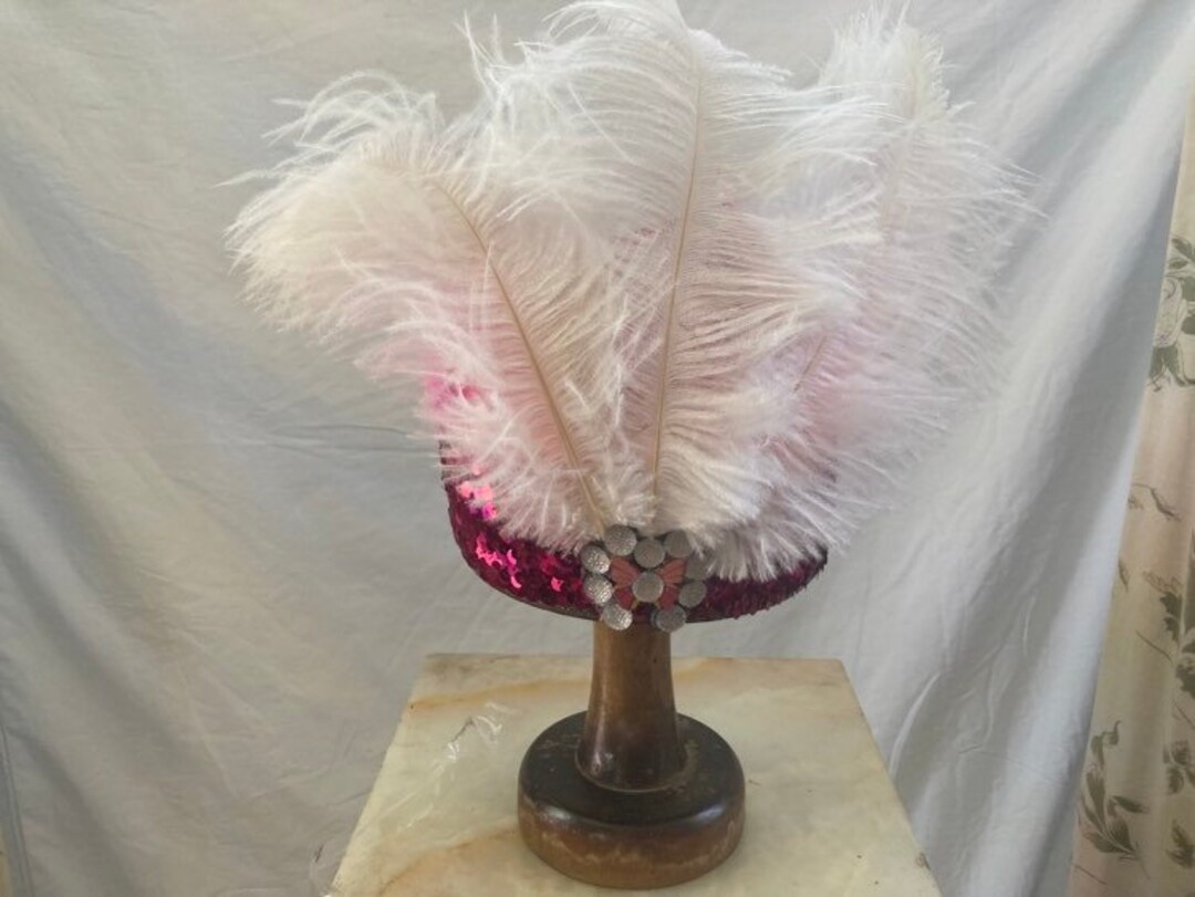 Embroidered Top with Ostrich Feather main image 1