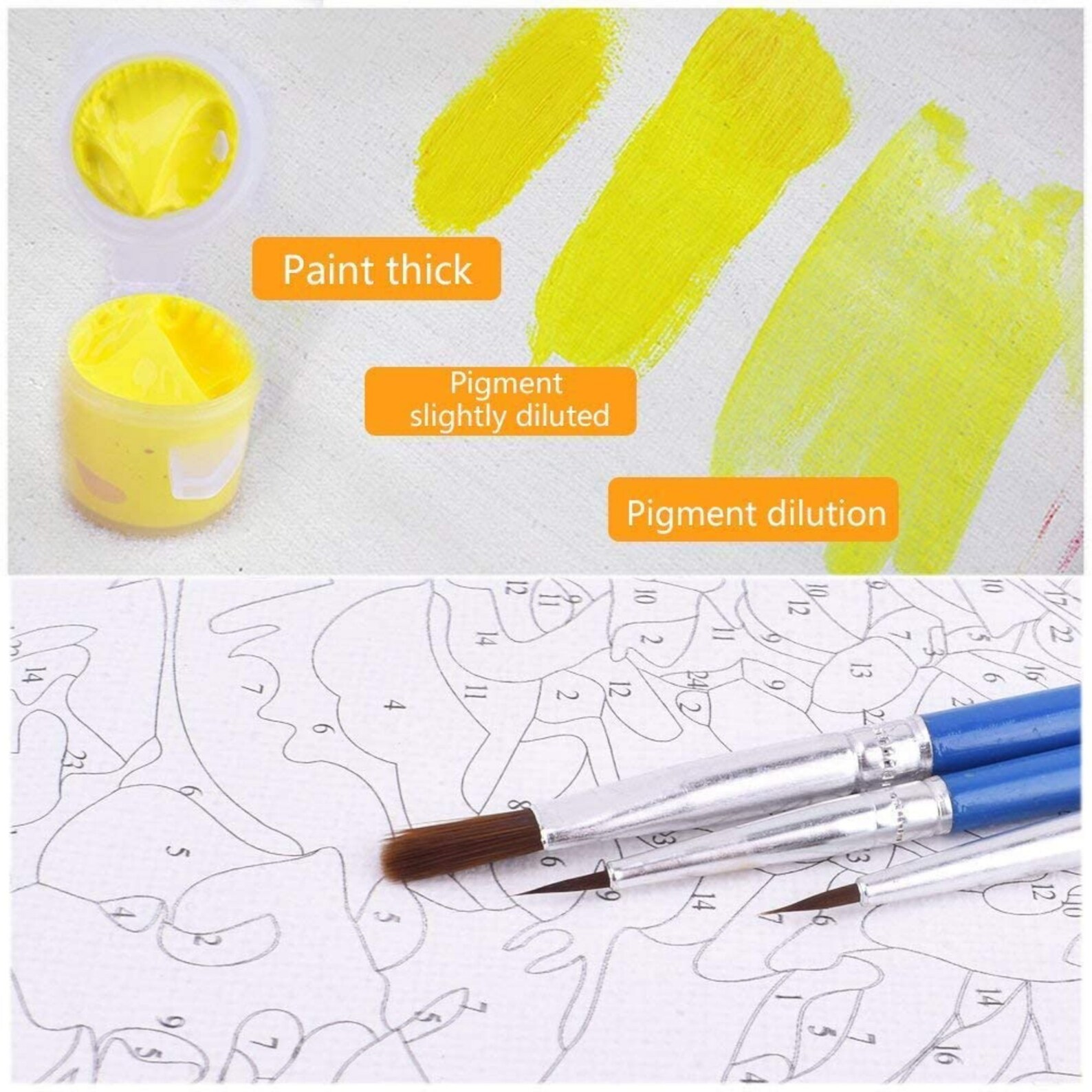 Acrylic Paint by Number Kit on Canvas for Adults Beginner Etsy