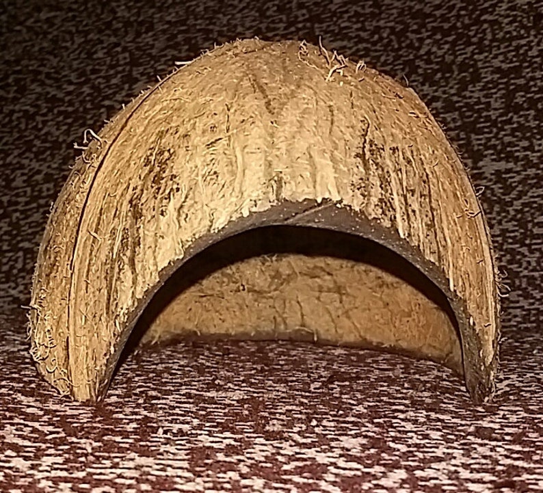 Aquarium Cave Coconut Shell Breeding Cave With Hole Cut in for Your