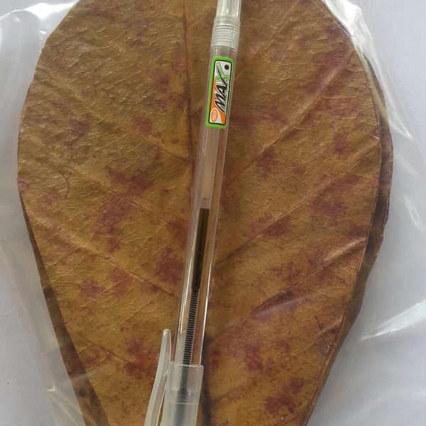 1000X Indian Almond Leaves  - Ketapang Leaf - Shrimp Fish Care - Betta, Aquarium Catappa with phytosanitary certificate