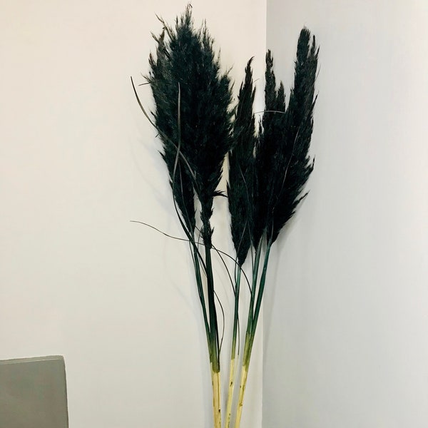 Black Fluffy Natural Luxury Pampas Grass 110cm Tall Home Decor