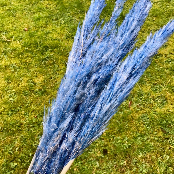 Blue Tall Pampas Grass Luxury Home Decor 120cm Natural Product
