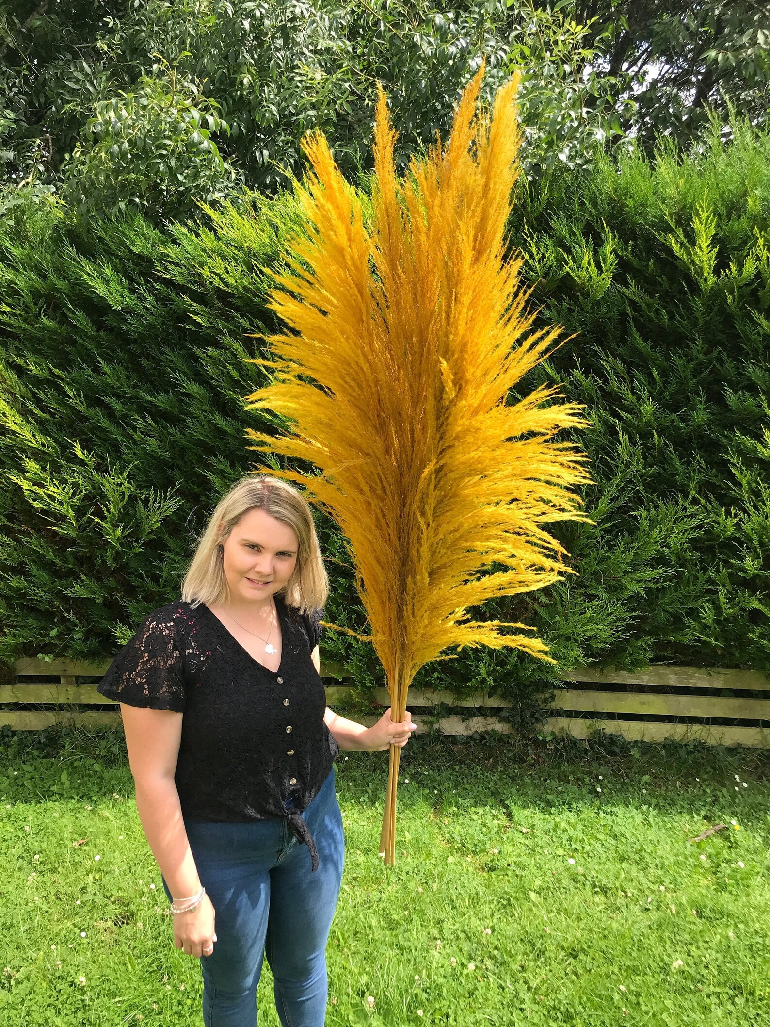 Mustard Ochre Yellow Pampas Grass Large 150cm Tall Fluffy Etsy