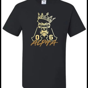 Alpha Phi Alpha Tee shirt