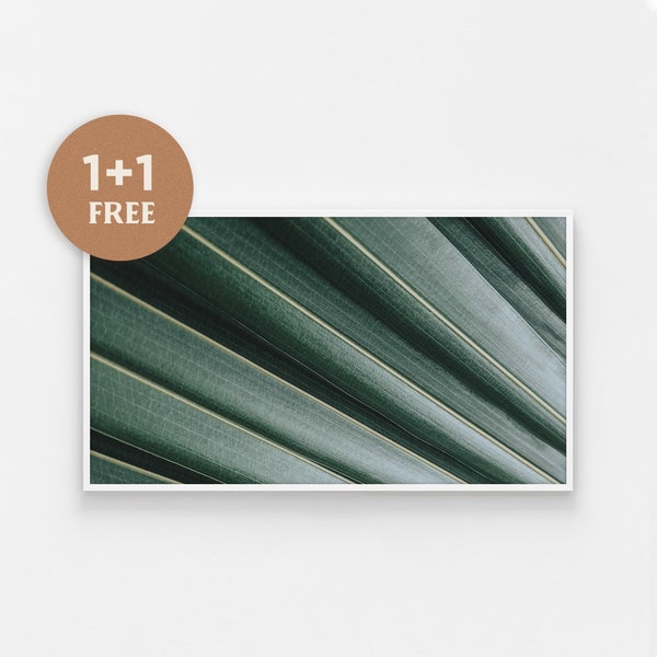 Samsung Frame TV Art, Green Plant Photo, Macro Photography, Abstract Photo Art, The Frame, Digital Download, for Samsung Frame, Minimalist