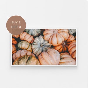 May include: A close-up image of a pile of various sized and colored pumpkins. The pumpkins are a mix of orange, green, and brown. The pumpkins are arranged in a random pattern.