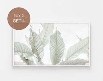 May include: A framed print of a close-up of light green leaves against a white background. The leaves are arranged in a cluster, with some overlapping. The image has a soft, ethereal quality.